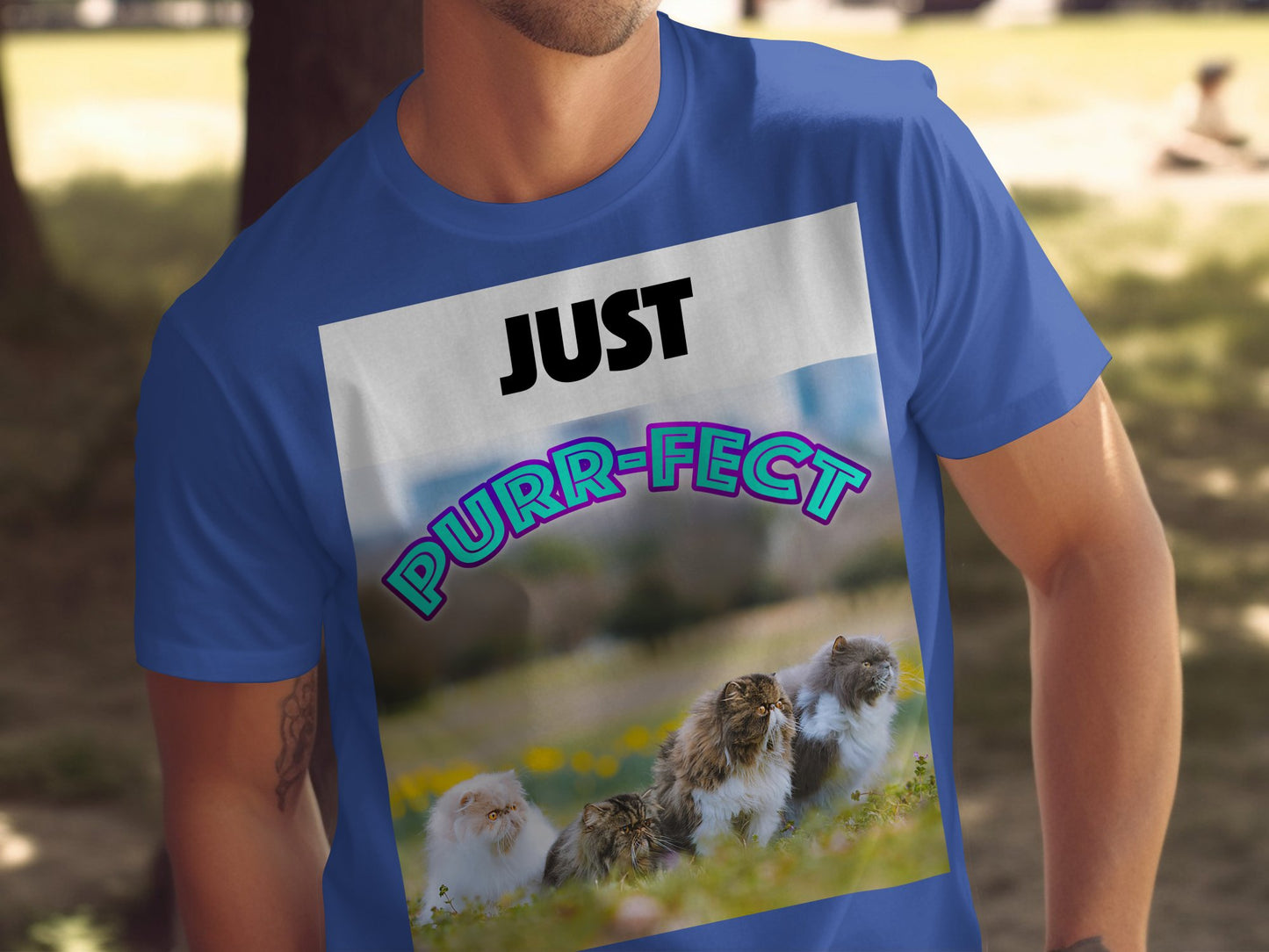 Just Purr-fect Cat Group Funny T-Shirt – Unisex Bella+Canvas 3001