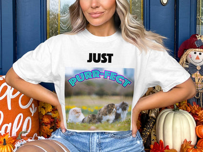 Just Purr-fect Cat Group Funny T-Shirt – Comfort Colors 1717 Unisex Tee