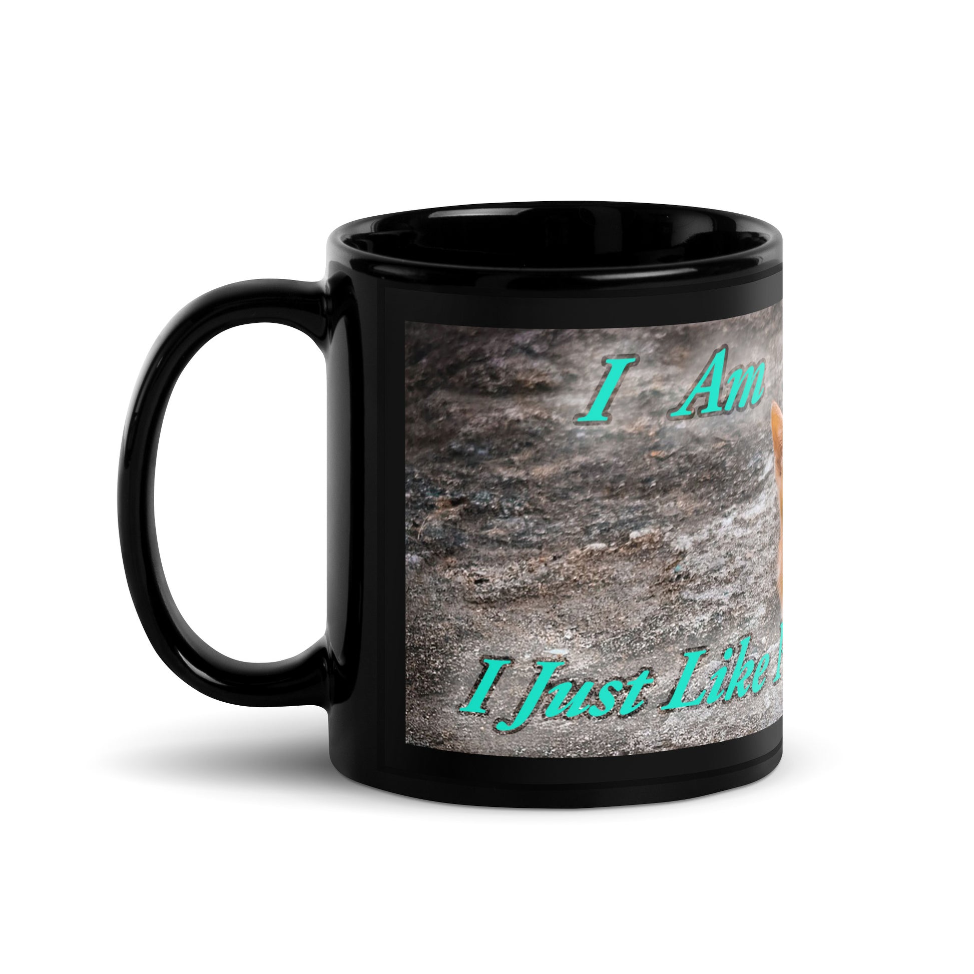Find your moment of calm with our “I Am Not Lonely, I Just Like Peace and Quiet” black glossy mug. Featuring a relaxed cat sitting on the ground, this humorous yet relatable design is perfect for anyone who enjoys serenity, solitude, and a good cup of coffee. Whether you’re at home, work, or curled up with your pet, this mug adds a touch of quiet humor to your daily routine.