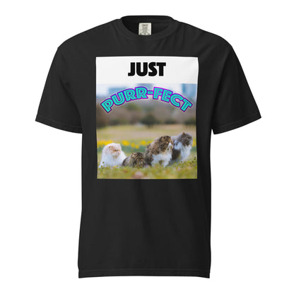 A black unisex t-shirt with a graphic print of a group of cats and the text 'JUST PURR-FECT'.