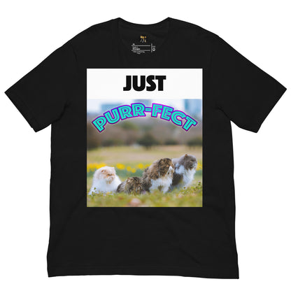 Soft, light, and flattering – the Bella+Canvas 3001 Unisex “Just Purr-fect” T-Shirt brings humor and charm to your wardrobe. Featuring a group of playful cats with the phrase “Just Purr-fect,” it’s printed on a premium cotton tee that feels as good as it looks. Perfect for cat lovers, gift-givers, or anyone who enjoys fun graphic designs. Celebrate love for pets year-round or gift it for special events like birthdays, holidays, or even 'National Cat Day'!